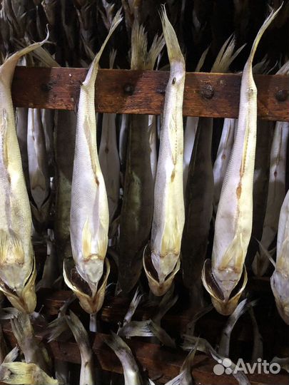 Вяленая рыба от производителя