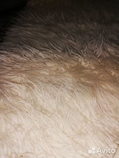 Ковер (2.36 *1.67 м)