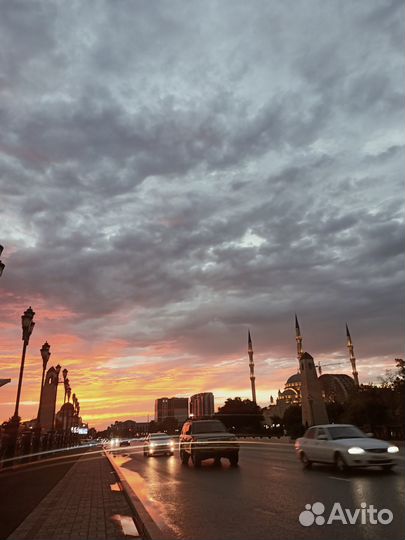 Гид экскурсовод