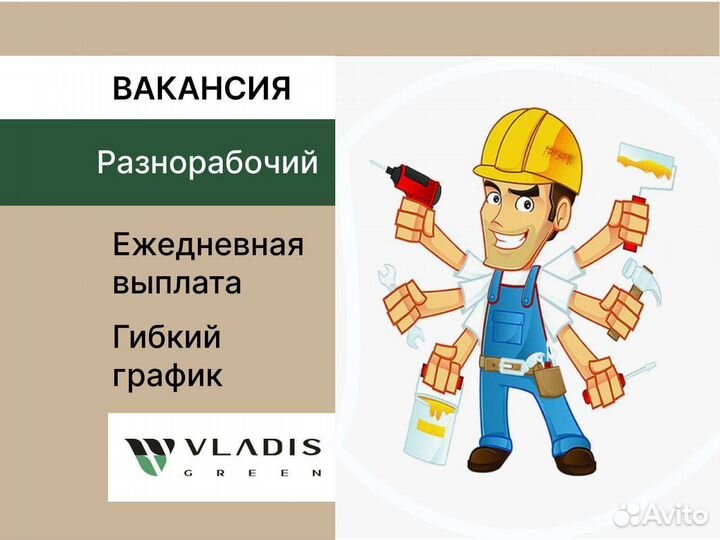 Разнорабочие ежедневные выплаты