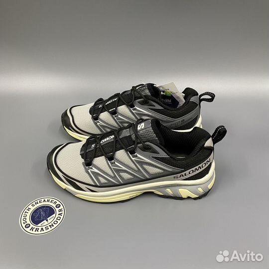 Кроссовки Salomon XT-6 Expanse Alloy Quiet Shade B
