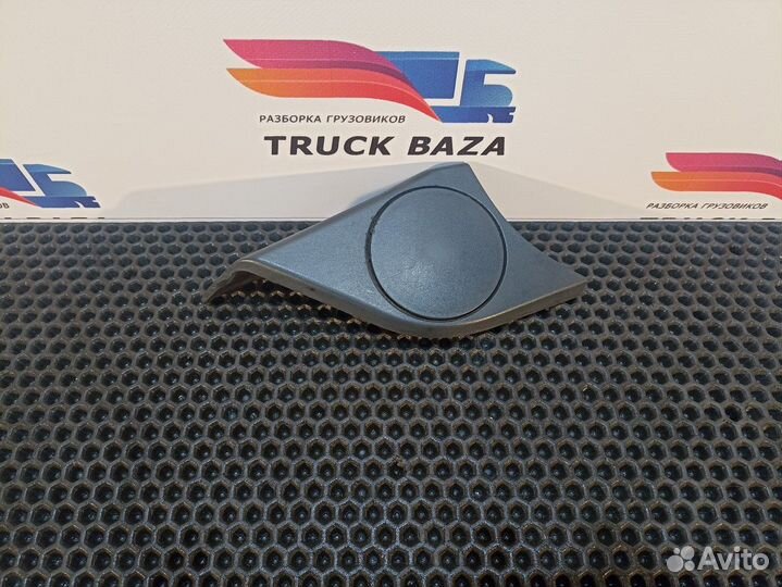 81619506070 Накладка двери правой Man TGL