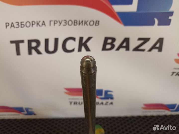 5010438094 Штанга толкателя Renault Magnum