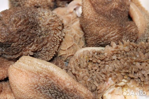 Мясо для собак Петрозаводск