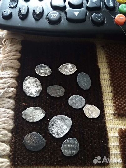 Монеты Чешуя Серебро и Медь