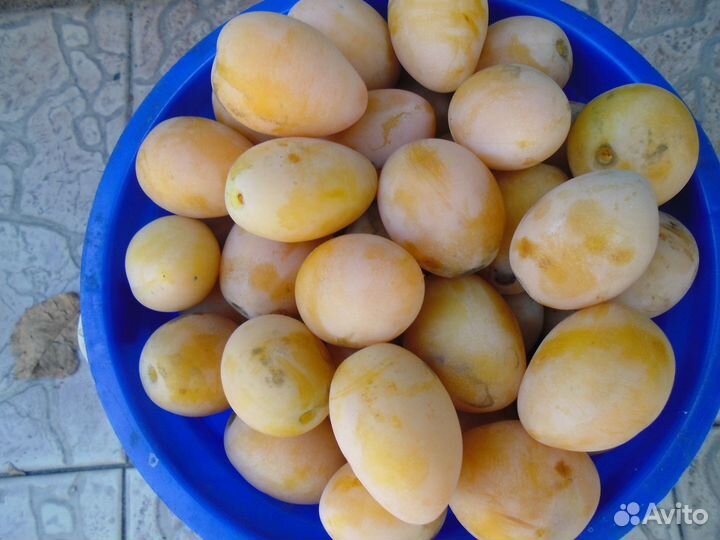 Продаются желтые сливы