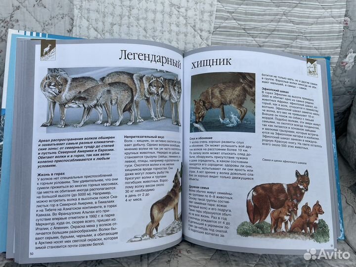 Книга о горах