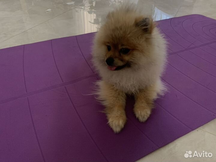 Коврик для йоги