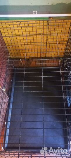 Вольер для собак