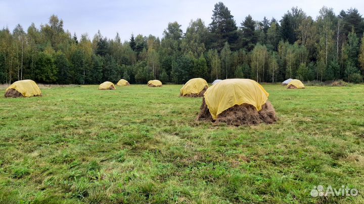 Продам сено