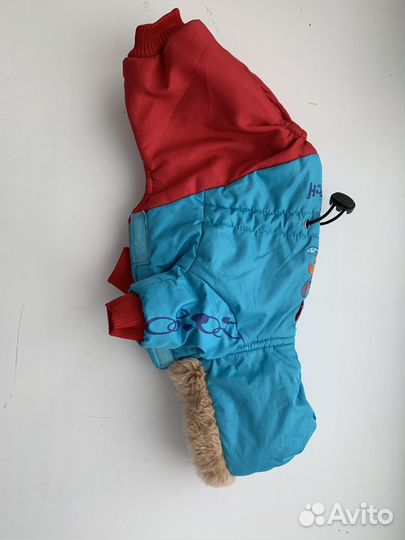 Одежда для маленьких пород собак