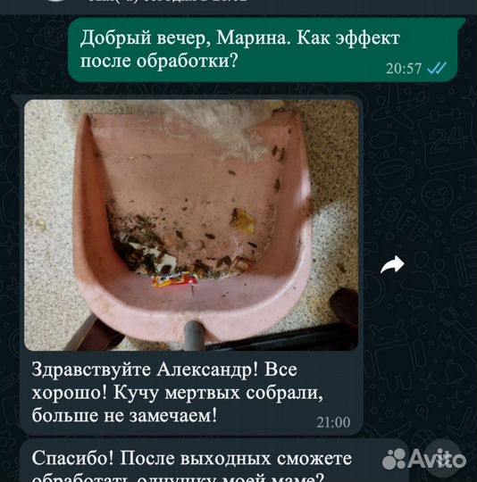 Уничтожение клопов тараканов клещей Дезинфекция