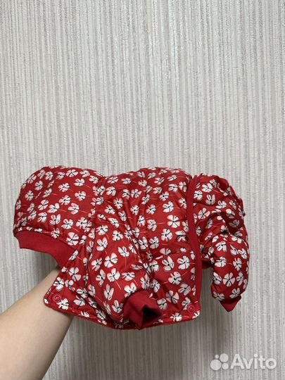 Одежда для маленьких собак