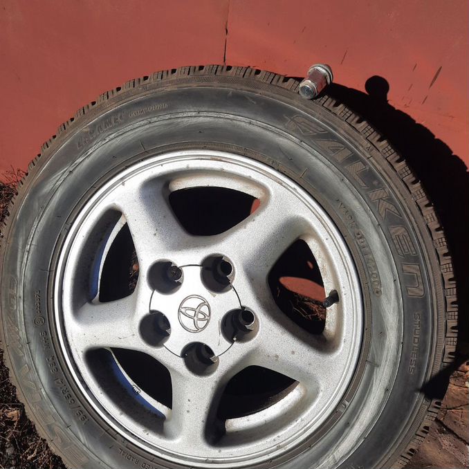 \"SSF\"スケートボード Доска объявлений от частных лиц и компаний на Авито —