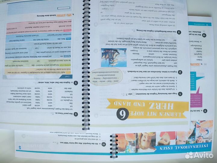 Die Deutschprofis B1 (Учебник + Тетрадь)