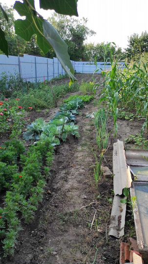 Дом 70 м² на участке 7,2 сот.