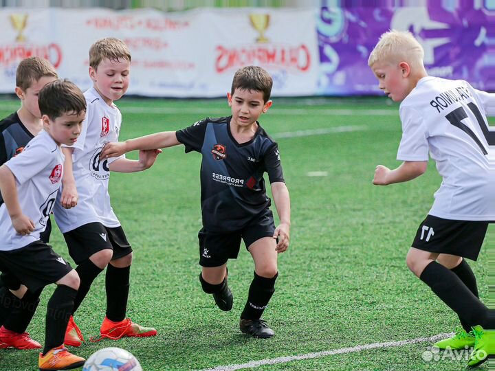 Тротуарная плитка сухопрессованная