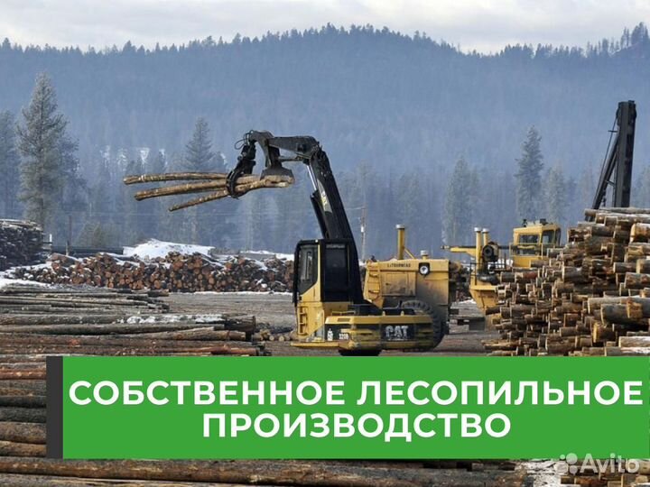 Евровагонка осина