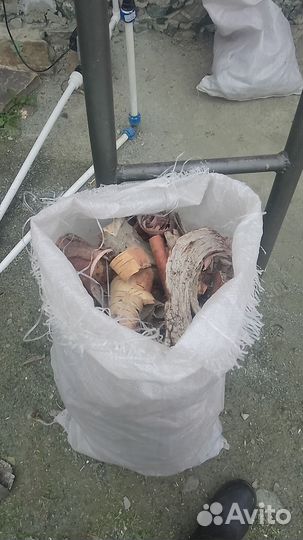 Береста для розжига