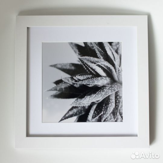 Картина постер черно-белая