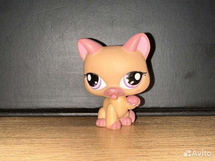 Littlest Pet Shop кошка