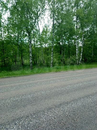 Участок 4,6 га (СНТ, ДНП)