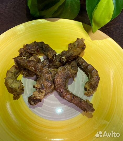 Лакомства для собак