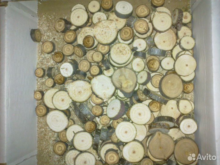 Спилы из дерева для декора