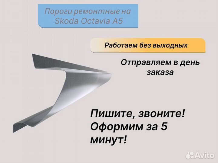 Пороги (цинк) Skoda