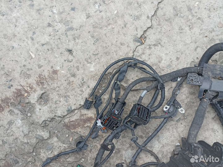 Проводка подкапотная коса Rio 4 X-line