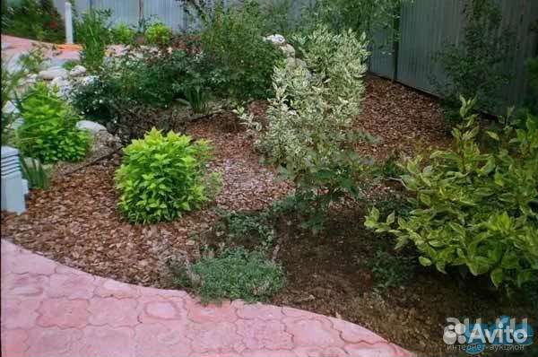 Шелуха кедровой шишки-Тунга, мульча, удобрение