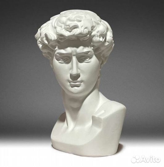 Гипсовая фигура Академическая бюст Давида новый