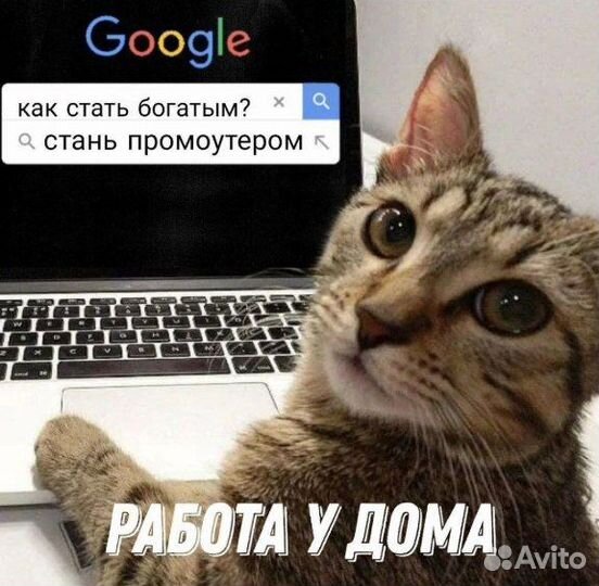 Подработка Промоутер Ежедневная Выплата