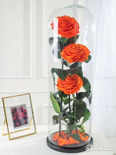 Цветы оптом