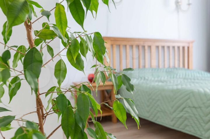 1-к. квартира, 40 м², 15/25 эт.