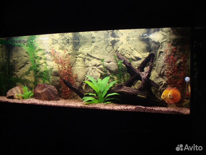 Аквариум 440 литров с тумбой
