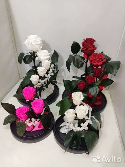 Розы оптом