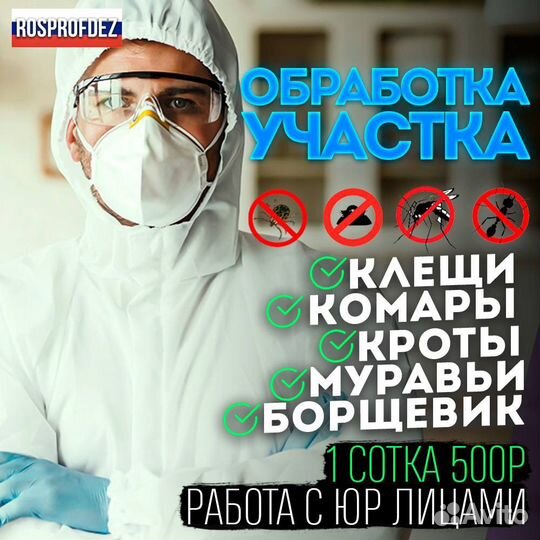 Клопы плесень крысы тараканы осы блохи запахи