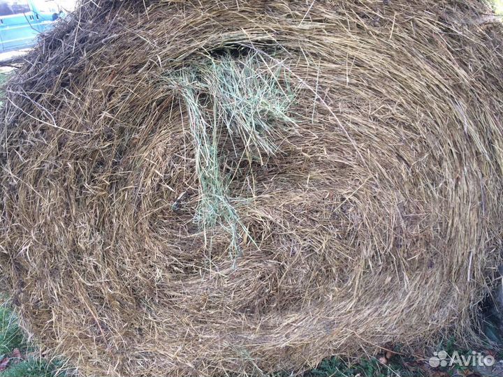 Сено в тюках