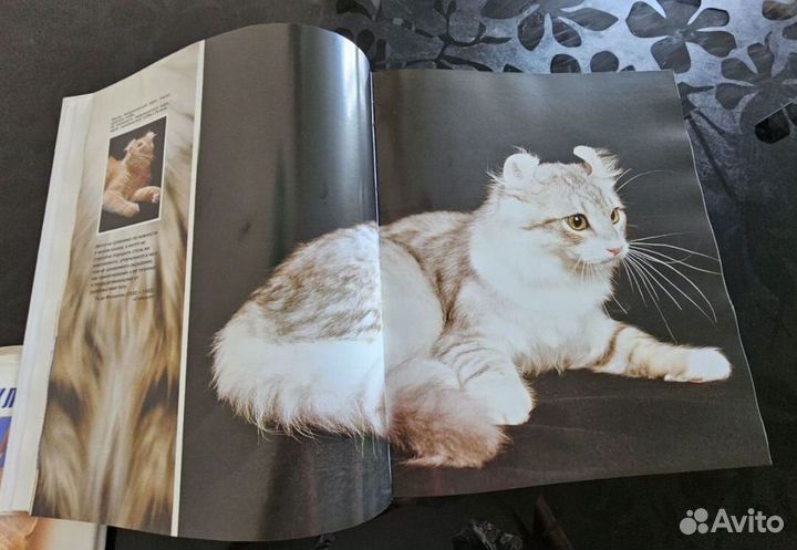 Энциклопедия про кошек