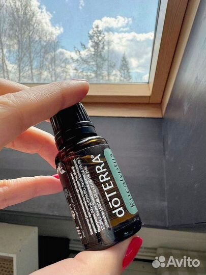 Эфирное масло Эвкалипт