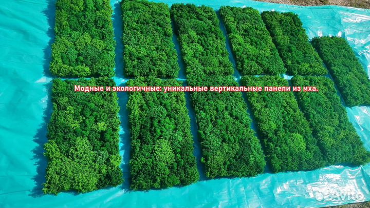 Модные и экологичные: уникальные вертикальные пане