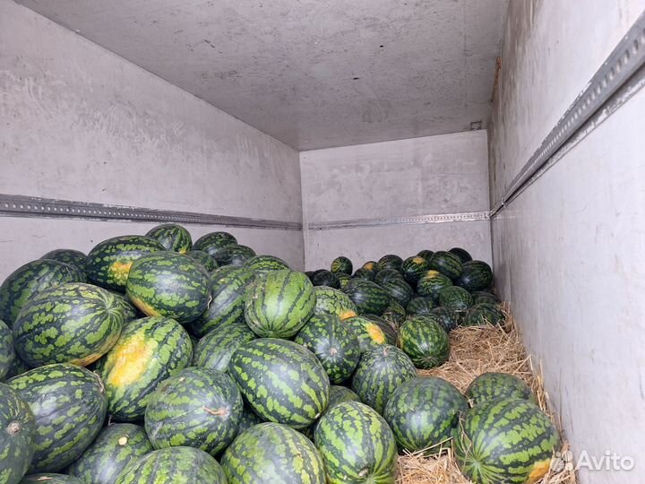 Свежий Сладкий Арбуз Холодок