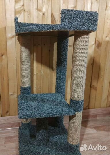 Когтеточка, домики котенка, кошка