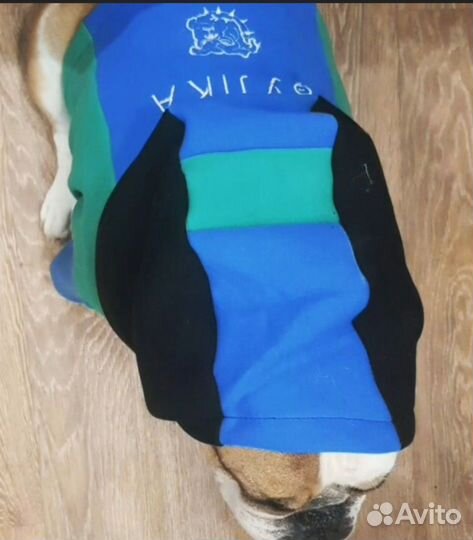 Пошив худи для собак с персональной вышивкой