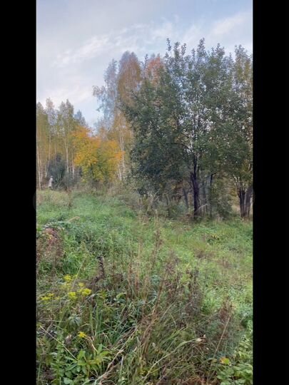 Участок 7,6 сот. (СНТ, ДНП)