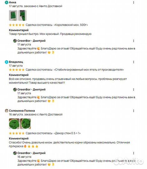 Мох для декоративных поделок, кашпо, панно, рейки