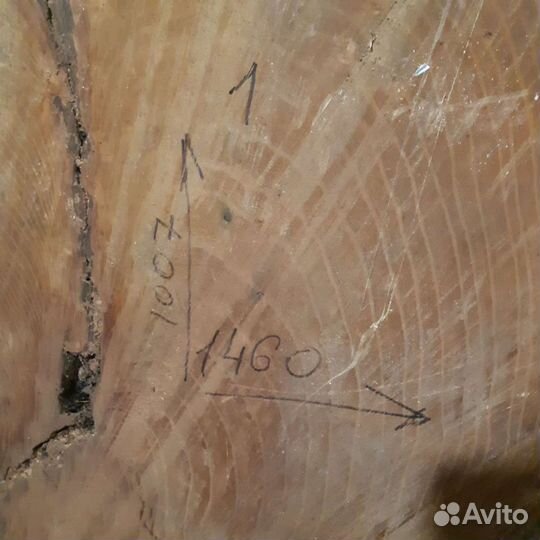 Слэб шелковица