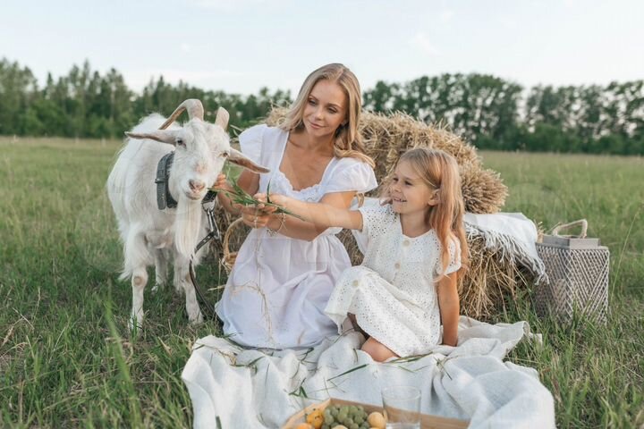 Участок 12,3 сот. (СНТ, ДНП)
