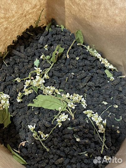 Иван-чай выдержанный в кедровом сундуке, премиум